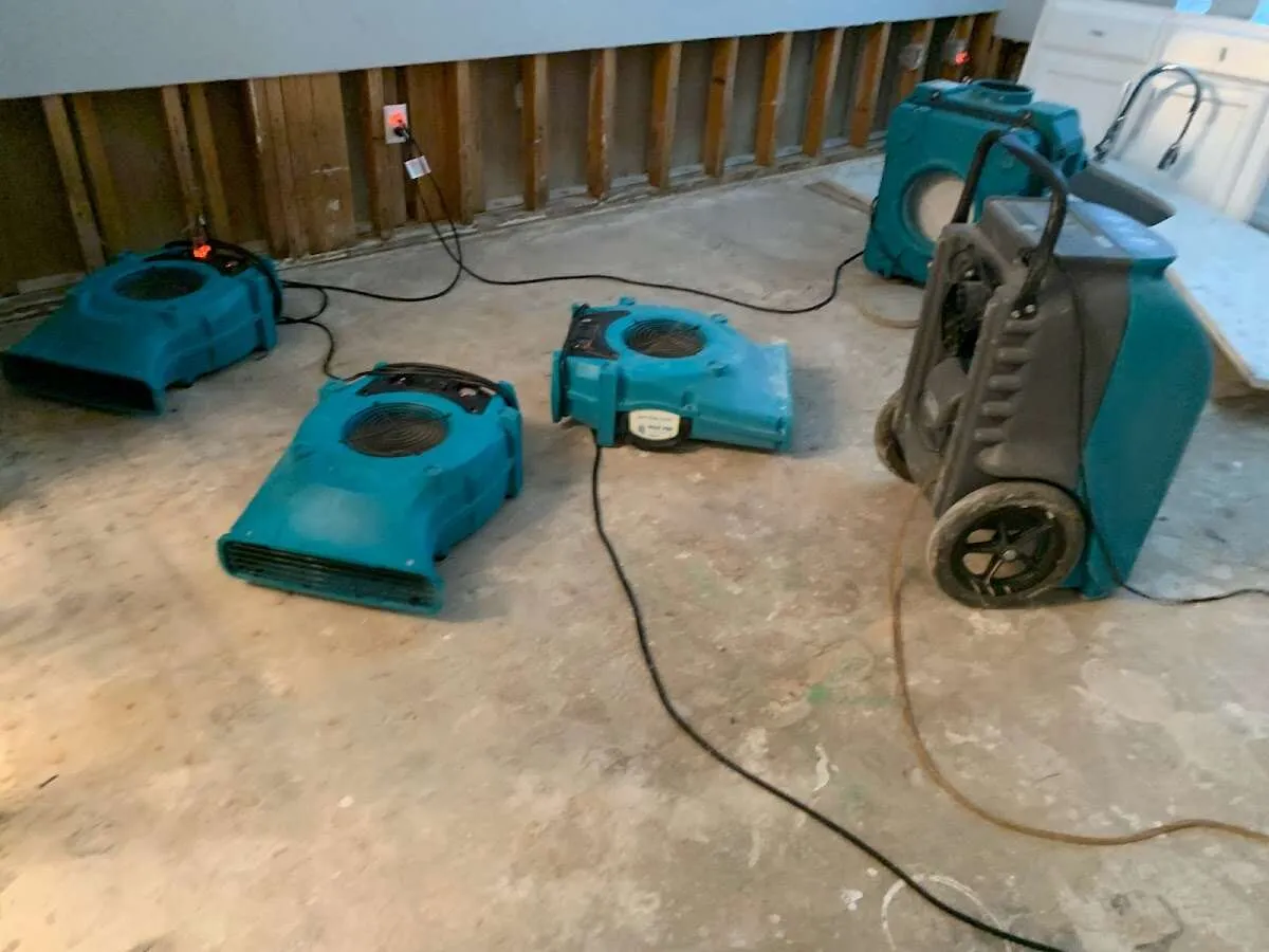 Mold Inspection & Testing in Dade City, FL